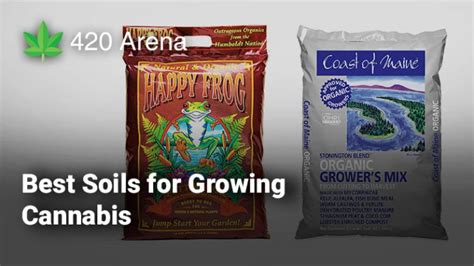 Top 5 Best Soils for Growing Cannabis (2024): Reviewed - 420 Arena