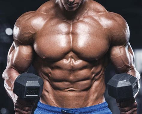 th?q=Top 5 Effective Bulking Steroid Cycles For Massive Muscles