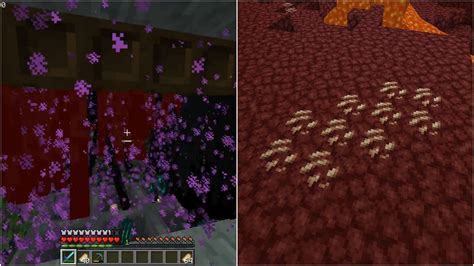 Top 5 fastest ways to get XP in Minecraft in 2022