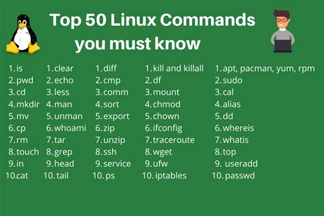 Top 50+ Essential Linux Commands You Should Know (2024)