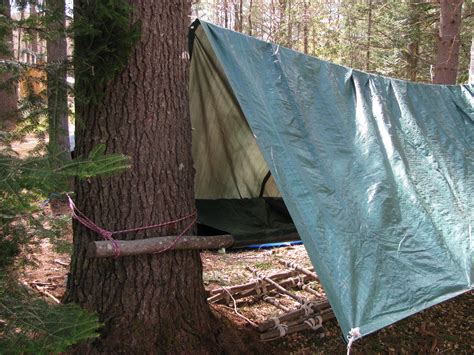 Top 6 Ideas For Creating Survival Shelters In The Wild