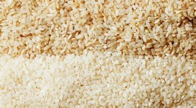 Top 6 Japanese Rice Varieties You Should Try - We Know Rice