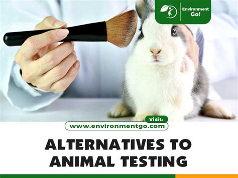 Top 7 Alternatives to Animal Testing Environment Go!