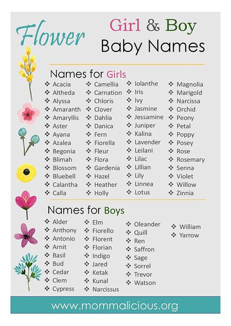 Top 80 Plant Names for Boys With Meanings - FirstCry Parenting