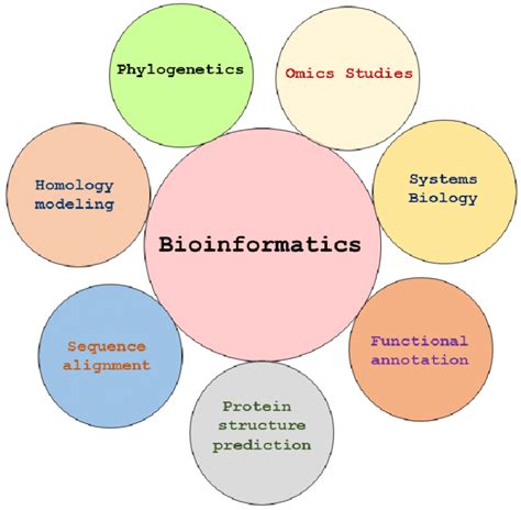 Top Bioinformatics Solution Companies - LinkedIn