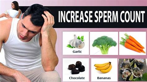 Top How Can You Increase Sperm Volume - SIPPINA