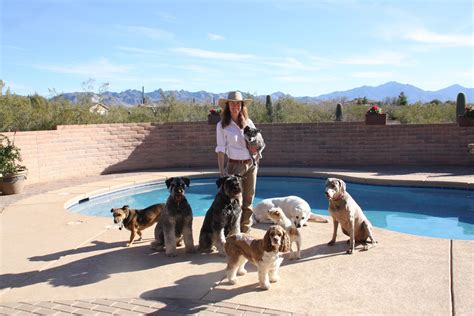 Top Pet Boarding Services in Tucson AZ