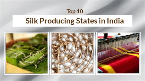 Top Silk Producing States in India - An Overview