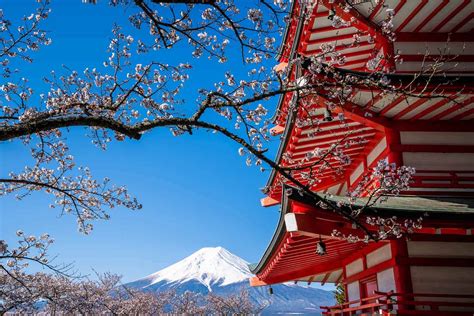 Top Things to Do in Japan - Tripadvisor