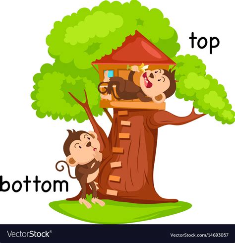 Top bottom. The terms top, bottom, and switch are used to describe roles for the duration of a sexual act or they may more broadly denote a psychological, social, or sexual identity, or indicate one's usual preference. The terms top, bottom, and switch are also used in BDSM, with slightly different meanings. In BDSM, a top is the person doing something to someone else, and … 