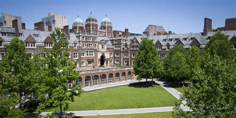 Top business undergraduate schools. Some business degrees are expensive, and some are cheap. For instance, the cheapest university on this list is New York University, with a net tuition of only $10,068. The most expensive school is Bentley University, at $37,657. Top traditional schools and online colleges pay close attention to student needs. 