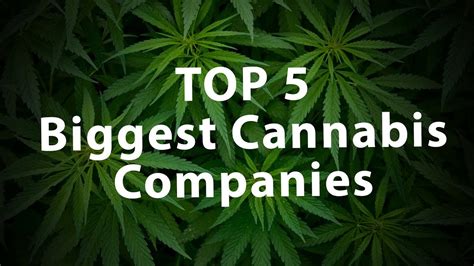 This is a list of the world's largest cannabis comp