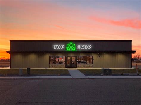 © Top Crop Cannabis 2022 View our Privacy Policy 297 SE 10th St. Ontario, OR 97914. Top Ontario Cannabis Dispensary