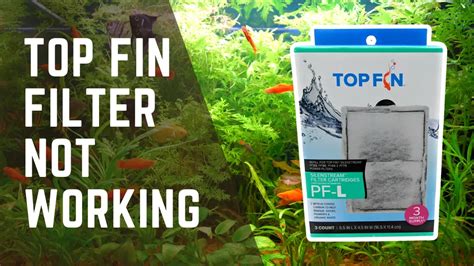 Learn how to set up your Top Fin 5-Gallon #RimlessAquarium with our easy step-by-step instructions to create an enchanting new home for your pet fish.Shop th.... 