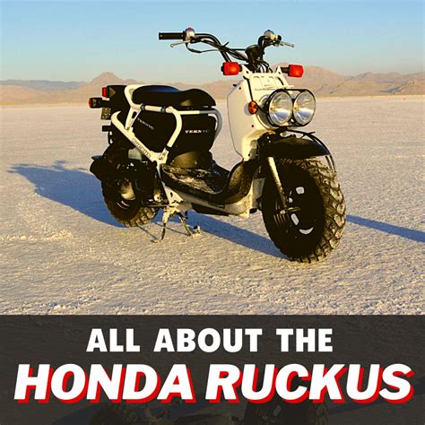 Top speed of a honda ruckus. Honda Ruckus Style Scooter! Sleek simple design, easy to ride, stylish and fast! 150cc Single Cylinder 4-stroke Engine. Top Speed: 65 mph. Fuel Consumption: 100 mpg. Assembled Dimensions: 81 x 27 x 38 inches (LxWxH) Front Tire Size: 120/70-12. Rear Tire Size: 205/30-12. Seat Height: 24 inches. 