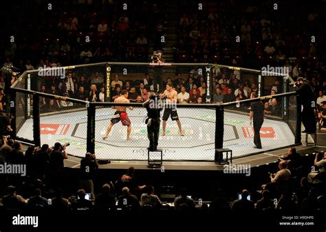 Top things to look for during UFC