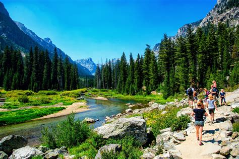 Read Top Trails Yellowstone And Grand Teton National Parks Mustdo Hikes For Everyone By Andrew Dean Nystrom