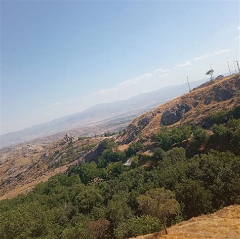 Topagaclar Halı ve Koltuk Yıkama