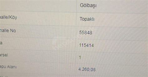 Topakli Halı ve Koltuk Yıkama