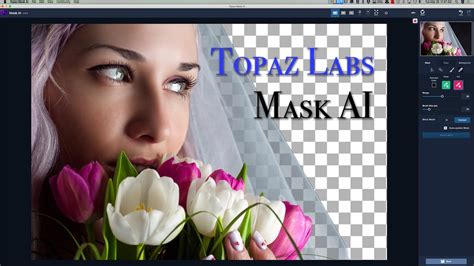 Topaz Mask AI 1.2.3 With Crack Download 