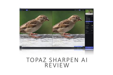 Topaz Sharpen AI review of