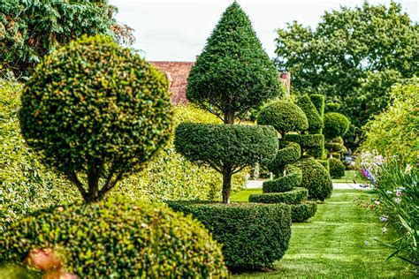Topiary Onlyfans Leak