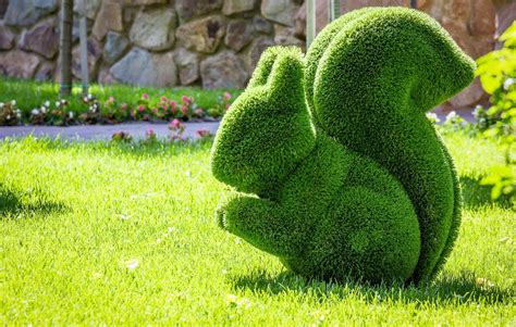 Topiary plant sculpture a beginners stepbystep guide. - La casa accanto di richie tankersley cusick.