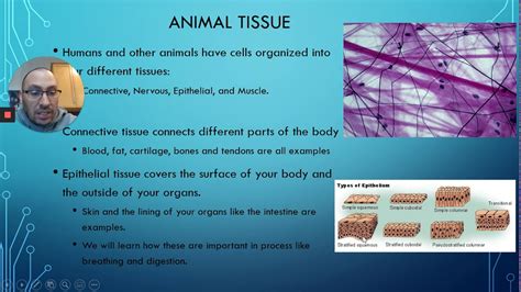 Topic 2 5 Cells combine to form tissues and organs YouTube