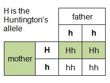 Topic 3.4: Inheritance - AMAZING WORLD OF SCIENCE WITH MR.