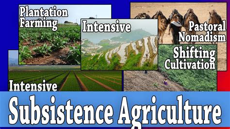 Topic Types of Subsistence Agriculture
