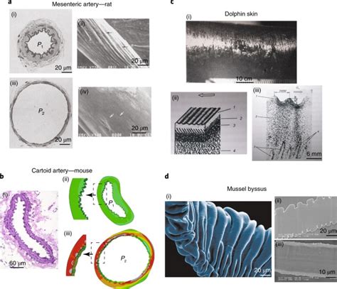 Topography-driven surface renewal Nature Physics