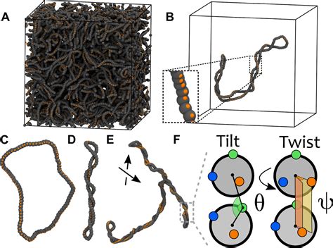 Topological tuning of DNA mobility in entangled …