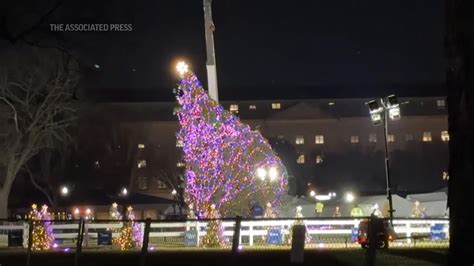 Toppled White House Christmas tree is secured upright, and lighting show will happen as scheduled