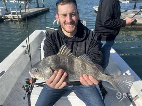 Topsail beach fishing report 2022.  Charters.  Whether you&rsquo;re after trophy red drum, feist...