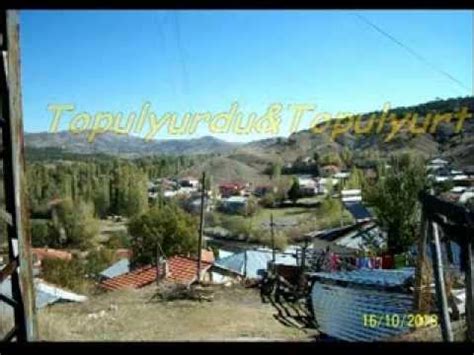 Topulyurdu Halı ve Koltuk Yıkama