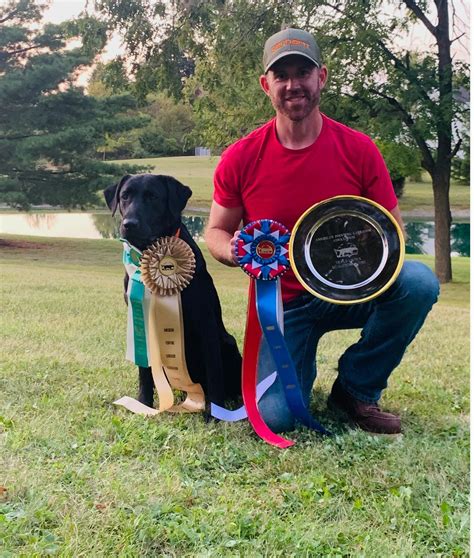 TORG'S LABS AMERICAN KENNEL CLUB BREEDERS of MERIT ... TORG'S SAPPHIRE SOFIA "Sophie" Sophie is a 62lb. female out of pointing lines. Daughter of Grand Master .... 