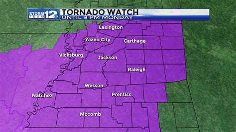 A Tornado Watch has been issued in multiple counties throughout Northeast Ohio, according to the National Weather Service.