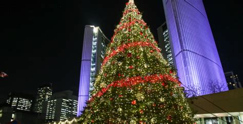 Toronto’s massive 55-foot tall Christmas tree arrives at Nathan Phillips Square