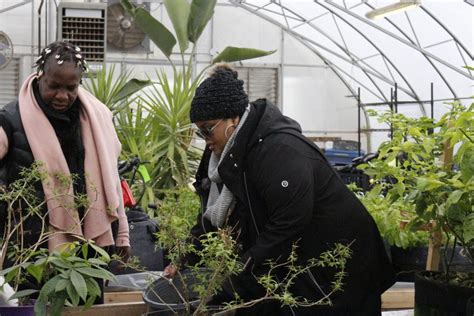 Toronto Black Farmers in Downsview fighting food insecurity by teaching locals to grow food
