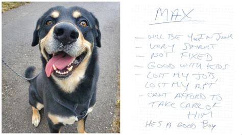 Toronto dog left abandoned with note from owner gets adopted by new family