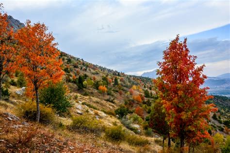 veodersti.rgarabwor.edu.pl. 