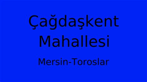 Toroslar Cagdaskent terapi halı yıkama