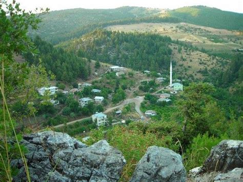 Toroslar Kurdali terapi halı yıkama