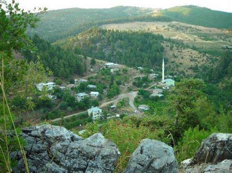 Toroslar Kurdali En Yakin terapi halı yıkama