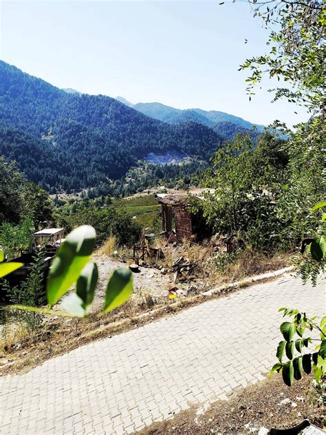 Toroslar Mithat Toroglu terapi halı yıkama