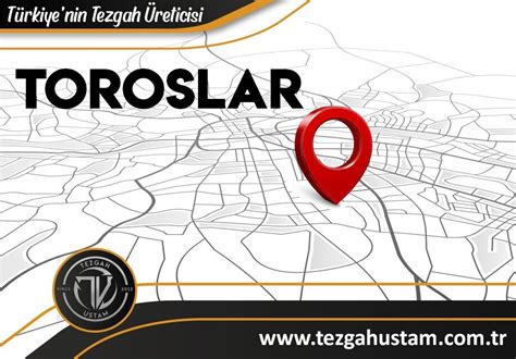 Toroslar Toroslar terapi halı yıkama