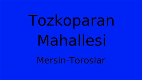 Toroslar Tozkoparan terapi halı yıkama
