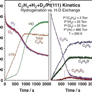 Torr h&aring;rbotten &ndash; orsak, symtom och behandling