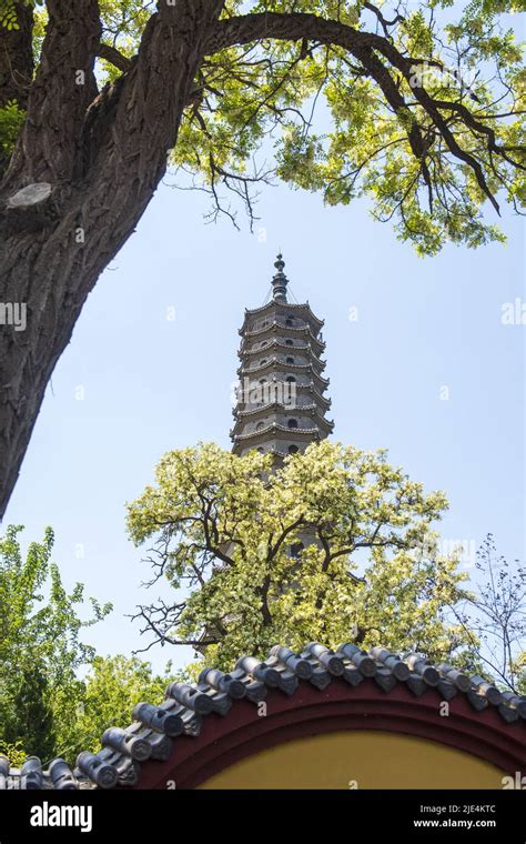 Torres Callum Yelp Binzhou