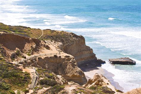 Torrey Pines State Natural Reserve - Tripadvisor